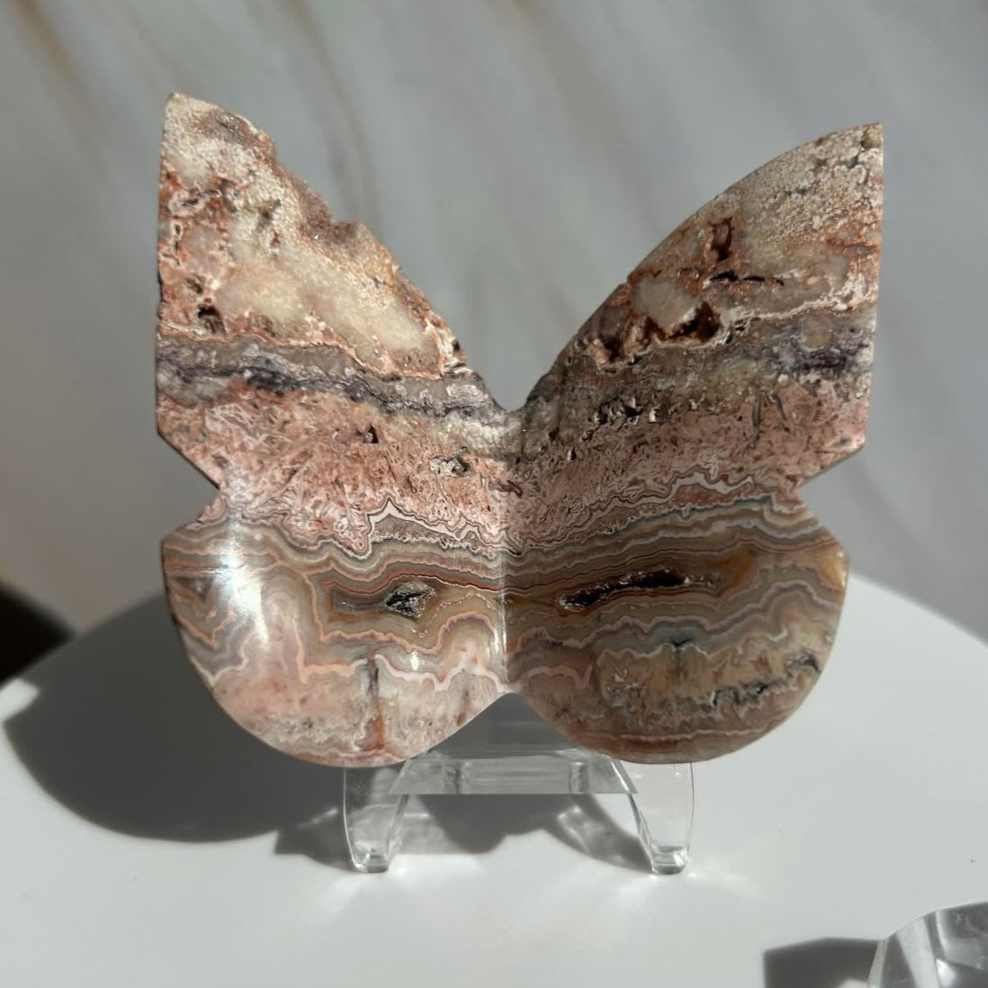 Crazy Agate Butterfly -For Trasformation, crystals healing and energy balancing.