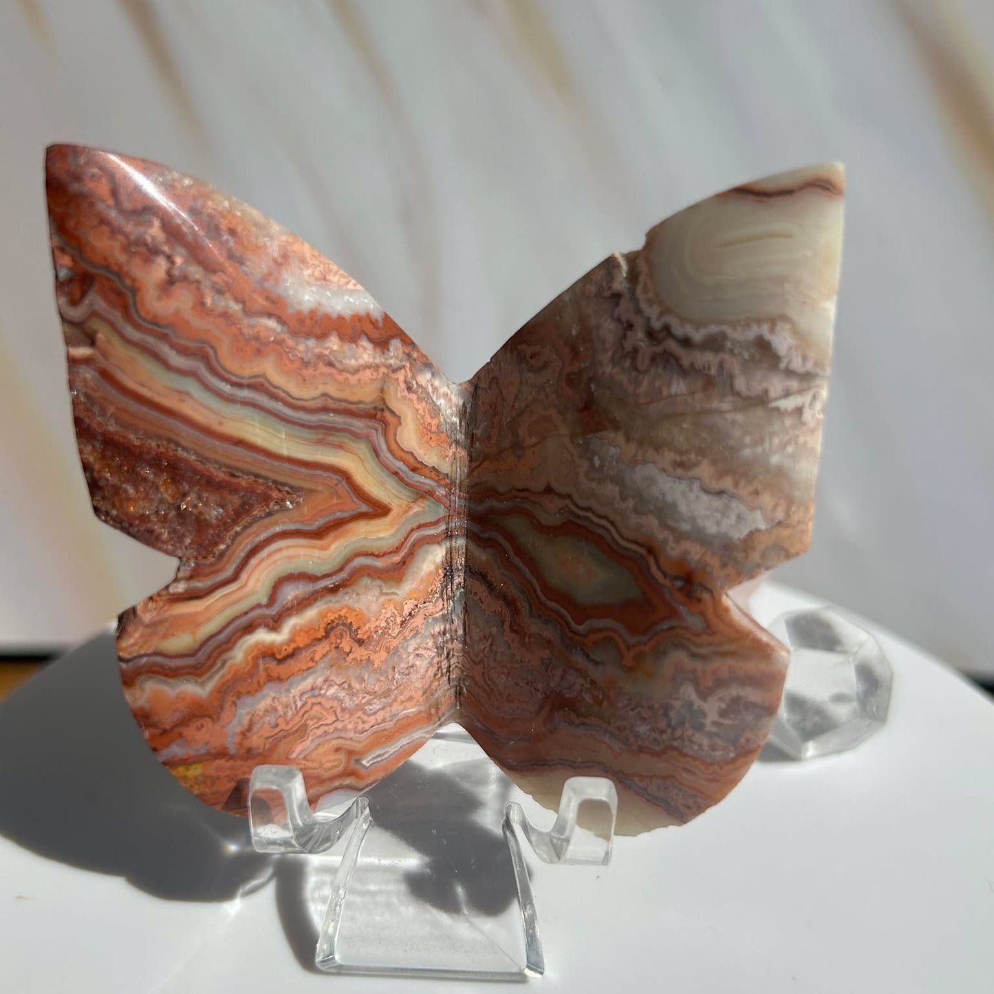 Crazy Agate Butterfly -For Trasformation, crystals healing and energy balancing.