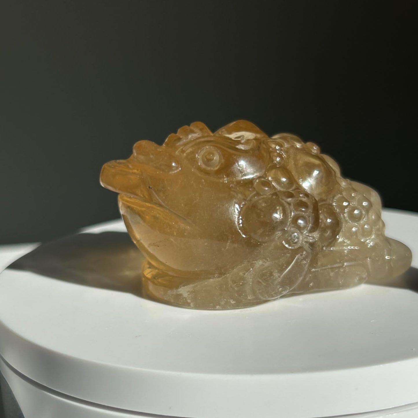 Fortune Toad Natural Citrine, for Prosperity, and Abundance, Solar Plexus, Inner Radiance