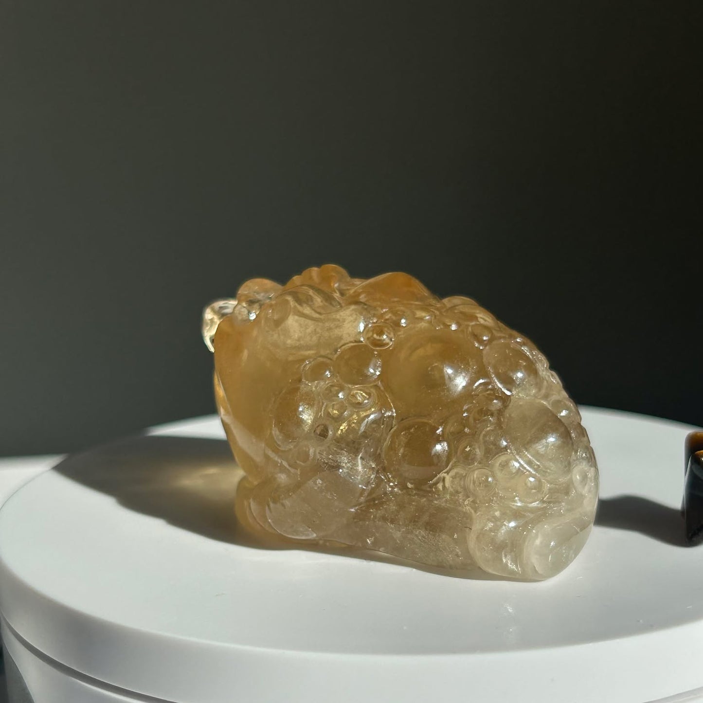 Fortune Toad Natural Citrine, for Prosperity, and Abundance, Solar Plexus, Inner Radiance