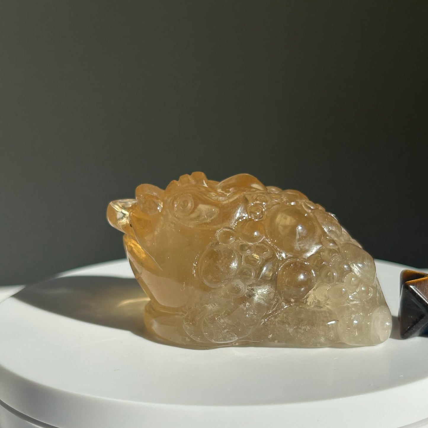 Fortune Toad Natural Citrine, for Prosperity, and Abundance, Solar Plexus, Inner Radiance