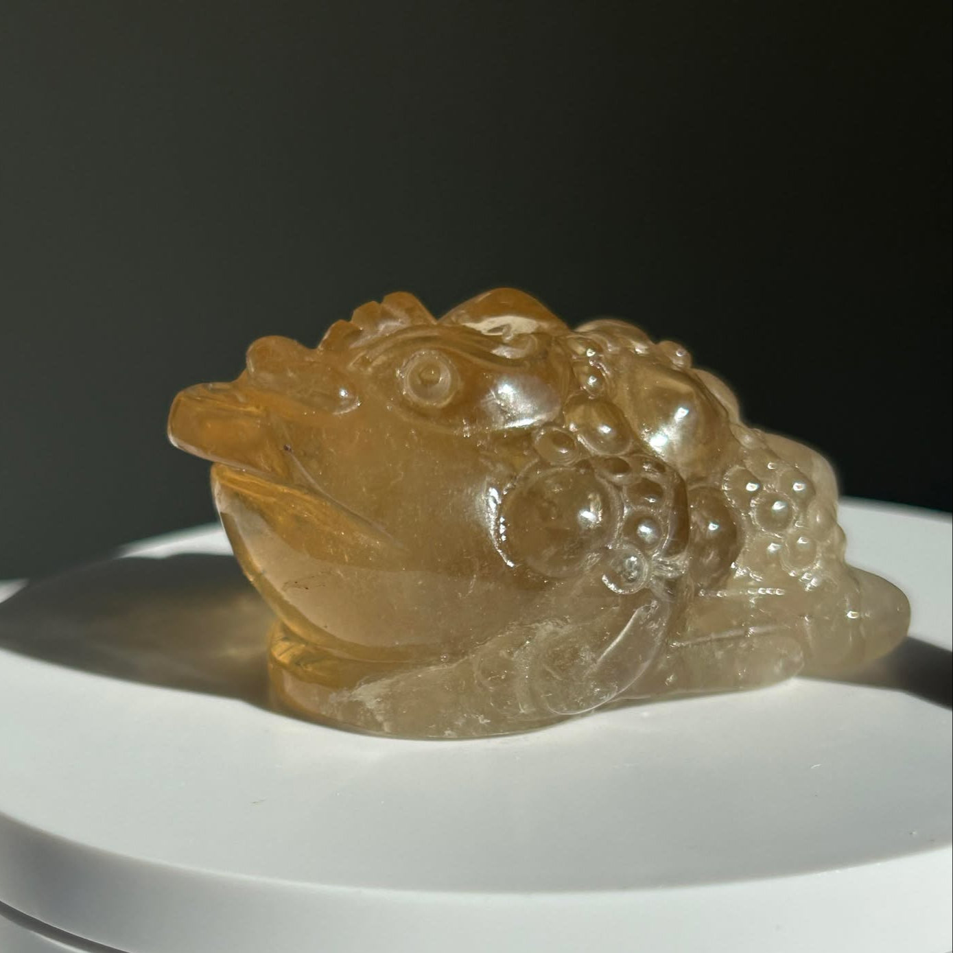 Fortune Toad Natural Citrine, for Prosperity, and Abundance, Solar Plexus, Inner Radiance