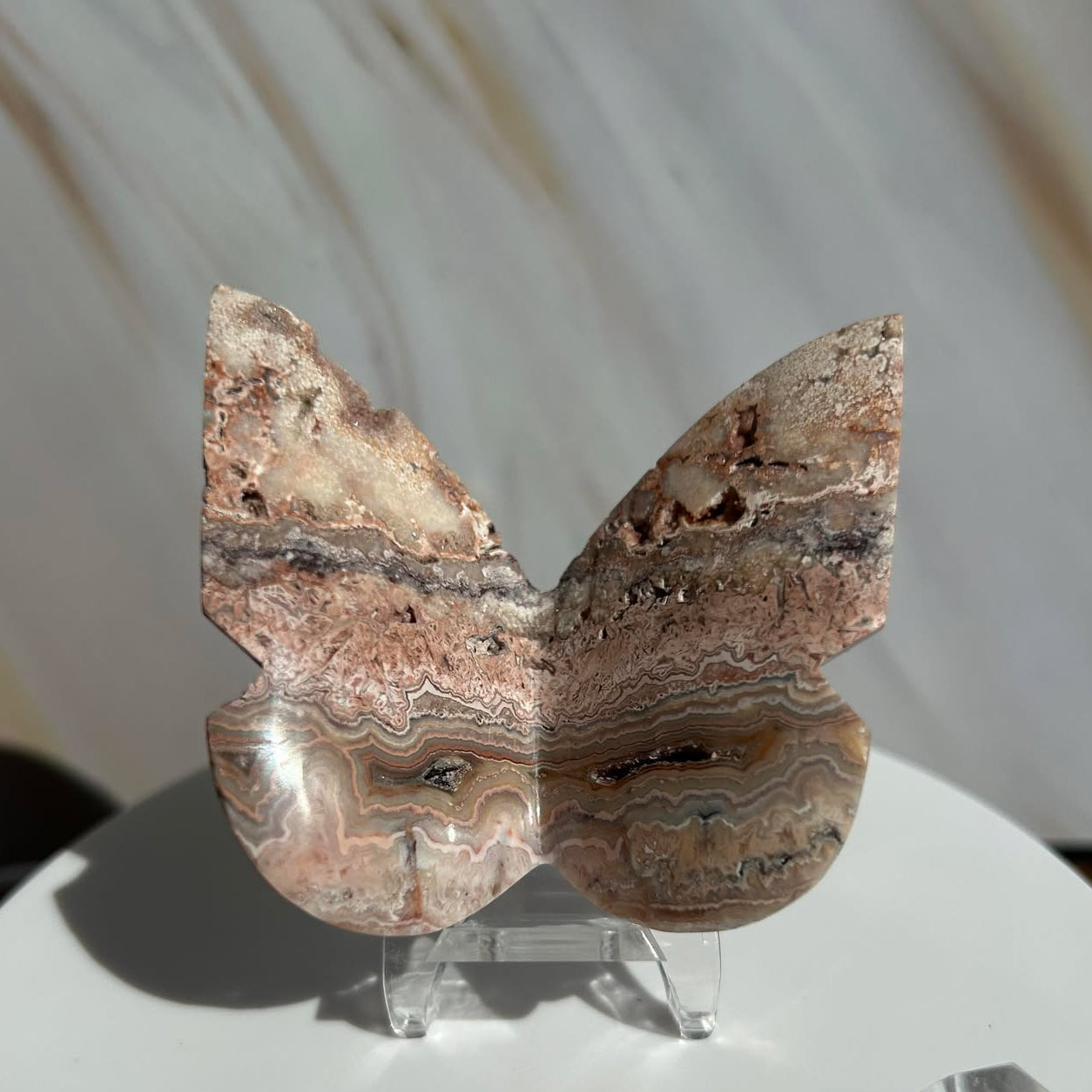 Crazy Agate Butterfly -For Trasformation, crystals healing and energy balancing.