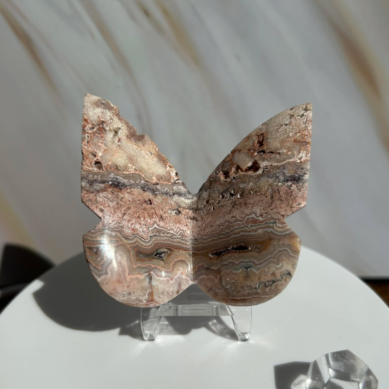 Crazy Agate Butterfly -For Trasformation, crystals healing and energy balancing.