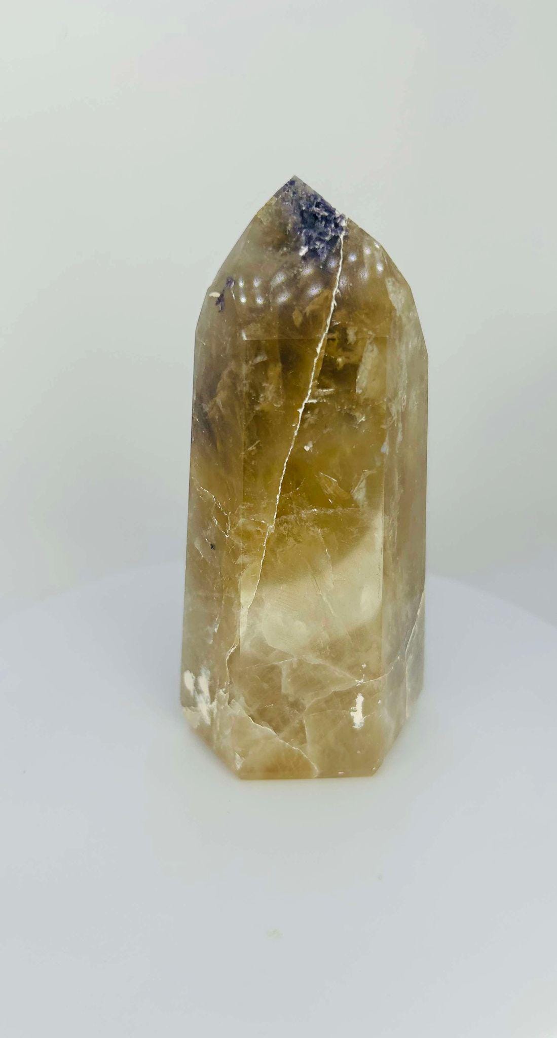 Citrine Lepidolite Crystal Point Solar Plexus Third Eye Meditation Feng Shui Libra Crystal Home Warming Student Teacher Baby Shower Gift
