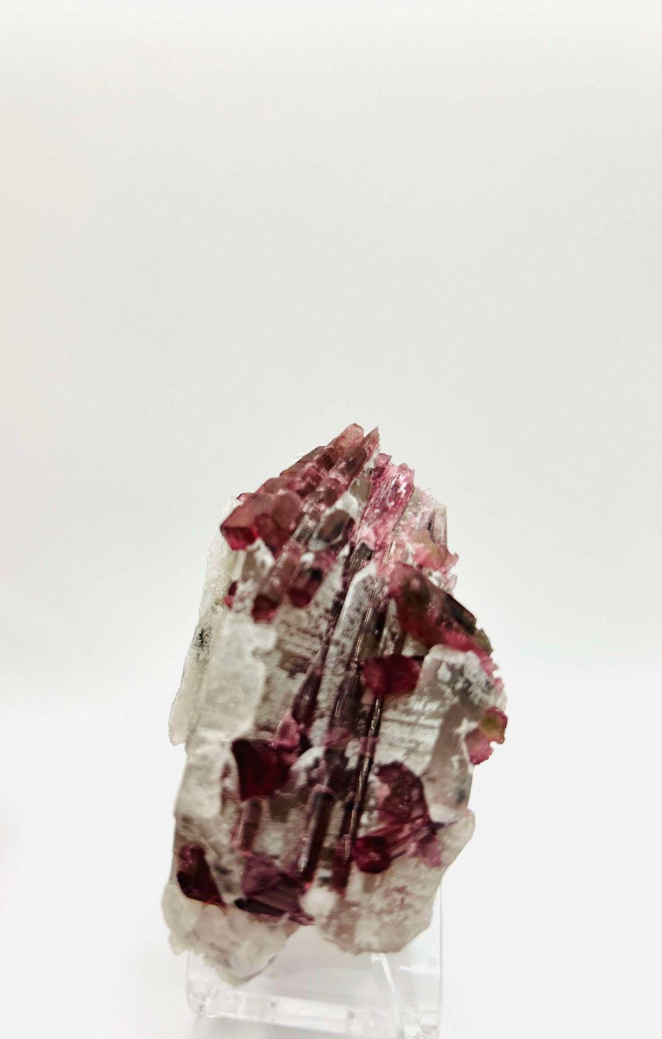 Citrine Pink Tourmaline Feng Shui Solar Plexus Heart Chakra Collector Piece October Crystal Breakup Gift Home Decor New Beginning New love