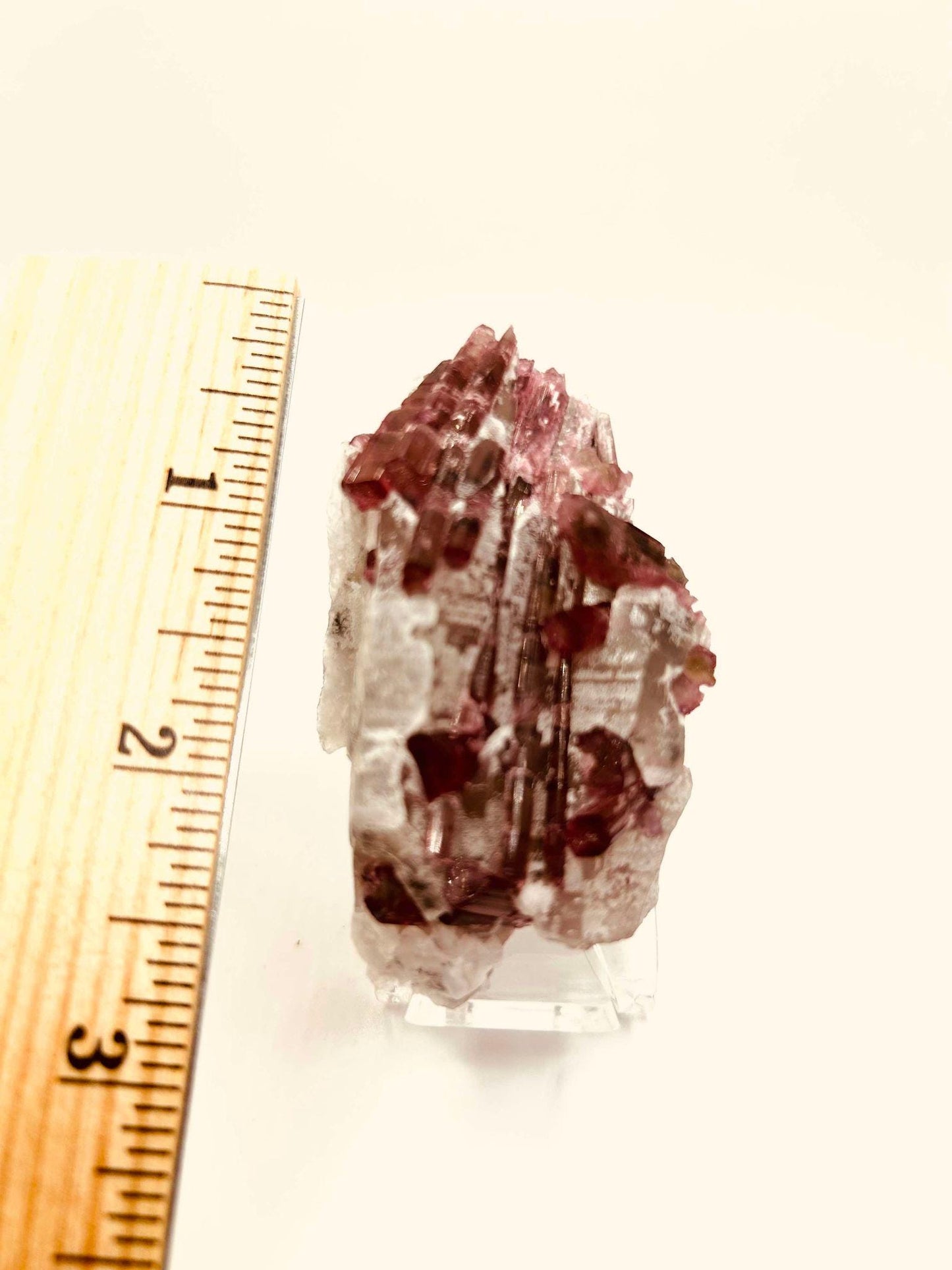 Citrine Pink Tourmaline Feng Shui Solar Plexus Heart Chakra Collector Piece October Crystal Breakup Gift Home Decor New Beginning New love