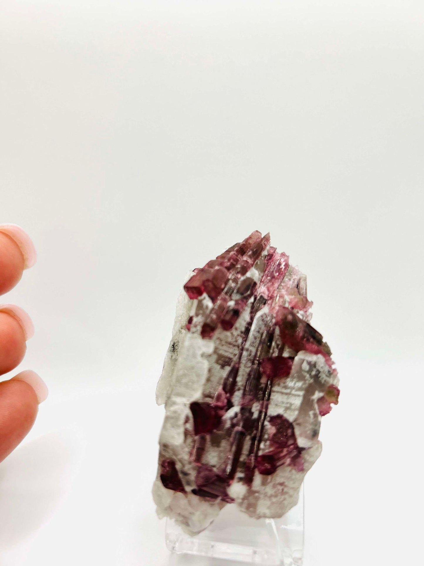 Citrine Pink Tourmaline Feng Shui Solar Plexus Heart Chakra Collector Piece October Crystal Breakup Gift Home Decor New Beginning New love