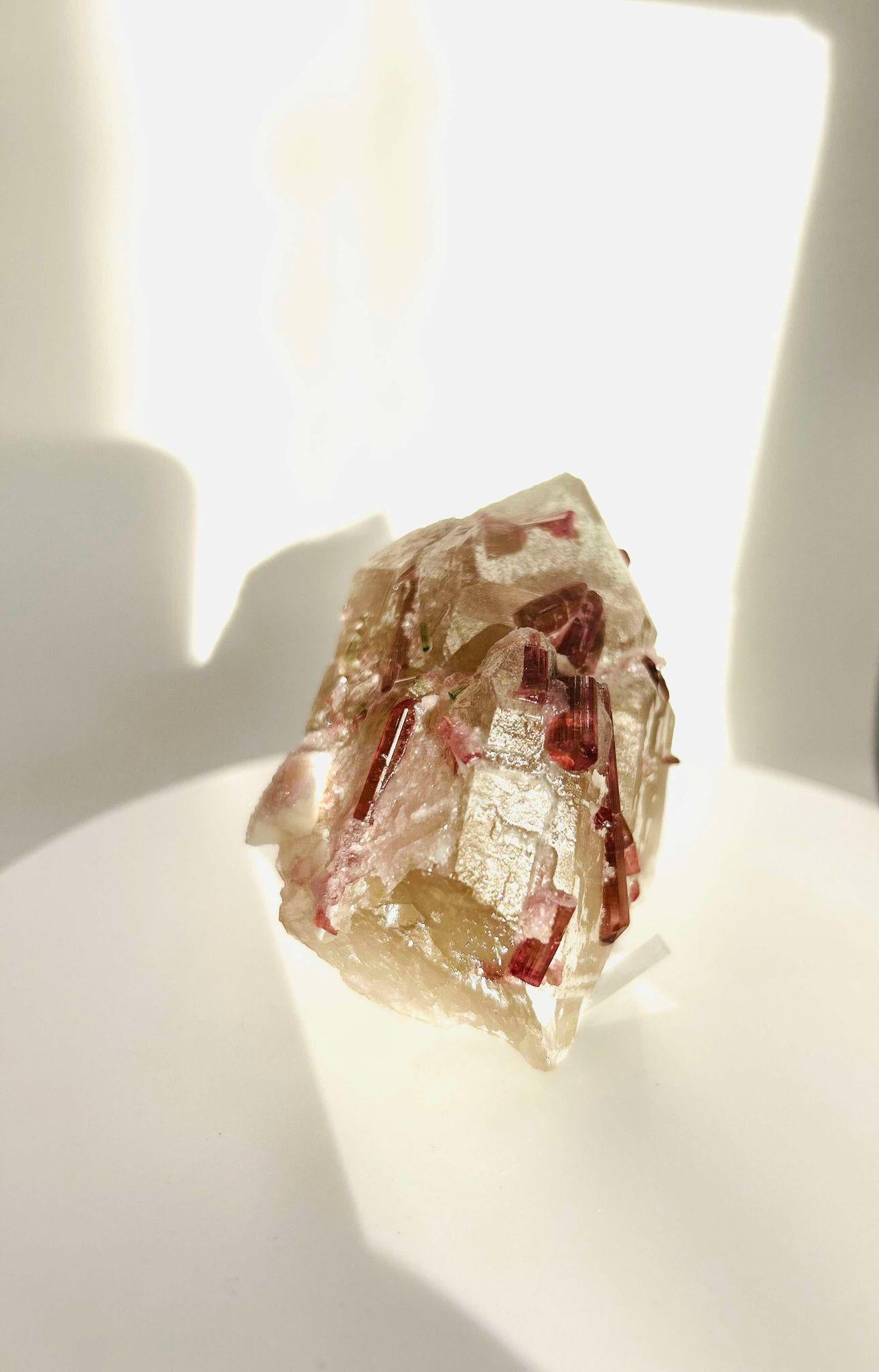 Citrine Pink Tourmaline Feng Shui Solar Plexus Heart Chakra Collector Piece October Crystal Breakup Gift Home decor New beginning New love