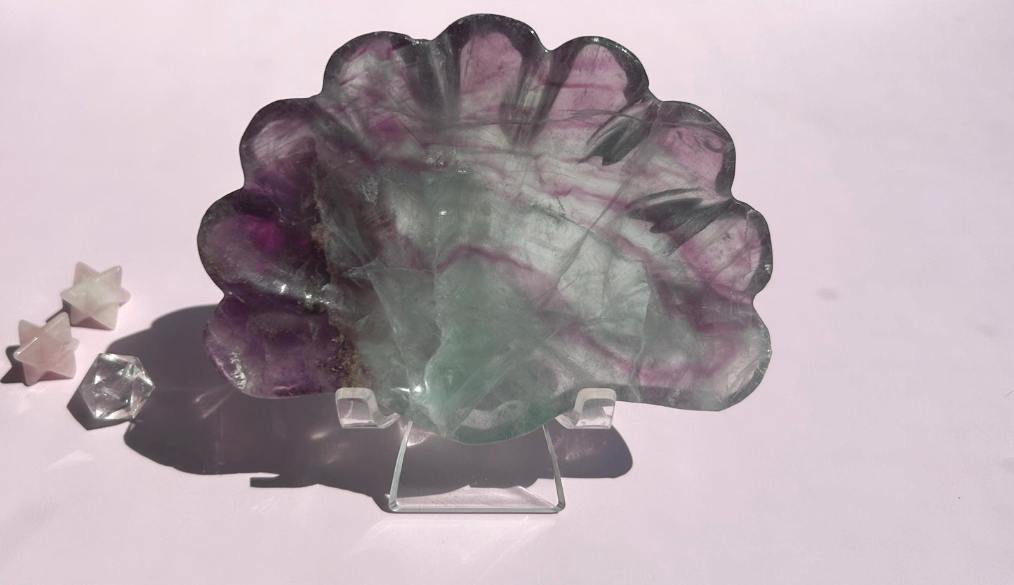 Fluorite Seashell Bowl Carved Dish Jewelry Holder Ocean Inspired Home Decor Gift for Beach Lover Bathroom Vanity Tray Coastal Mother Gift