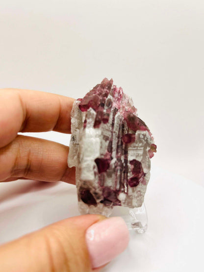 Citrine Pink Tourmaline Feng Shui Solar Plexus Heart Chakra Collector Piece October Crystal Breakup Gift Home Decor New Beginning New love