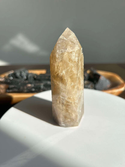 Citrine Crystal Point Feng Shui Solar Plexus November Scorpio Crystal Natural Untreated New Business Gift Graduation New Beginning New job