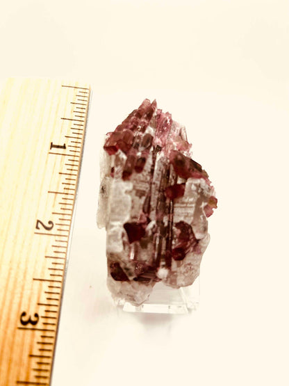 Citrine Pink Tourmaline Feng Shui Solar Plexus Heart Chakra Collector Piece October Crystal Breakup Gift Home Decor New Beginning New love