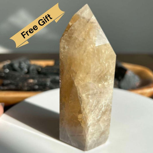 Citrine Crystal Point Feng Shui Solar Plexus November Scorpio Crystal Natural Untreated New Business Gift Graduation New Beginning New job