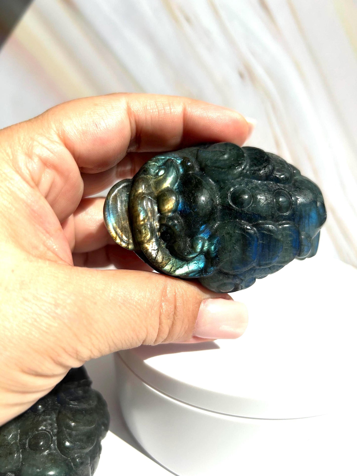 Money Toad Labradorite Crystal Carving Decorative Home Decor Feng Shui  Office Desk Bedroom Dorm Altar Best Friend Gift for New Beginning