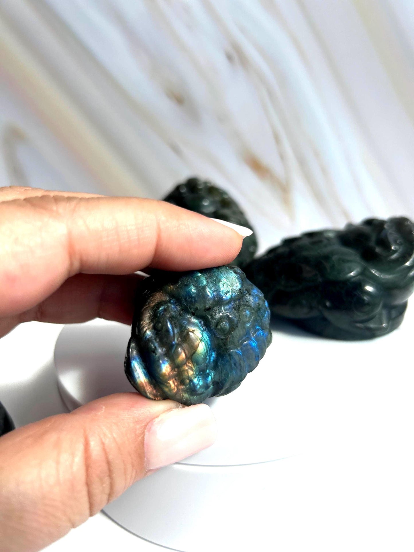 Money Toad Labradorite Crystal Carving Decorative Home Decor Feng Shui  Office Desk Bedroom Dorm Altar Best Friend Gift for New Beginning