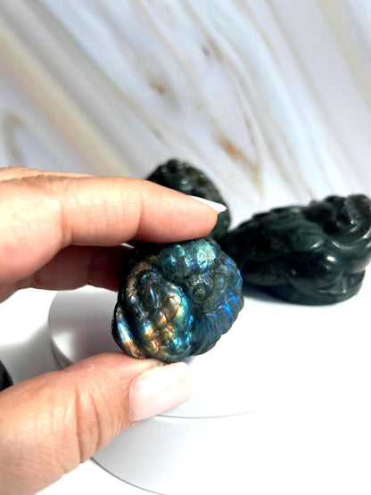 Money Toad Labradorite Crystal Carving Decorative Home Decor Feng Shui  Office Desk Bedroom Dorm Altar Best Friend Gift for New Beginning