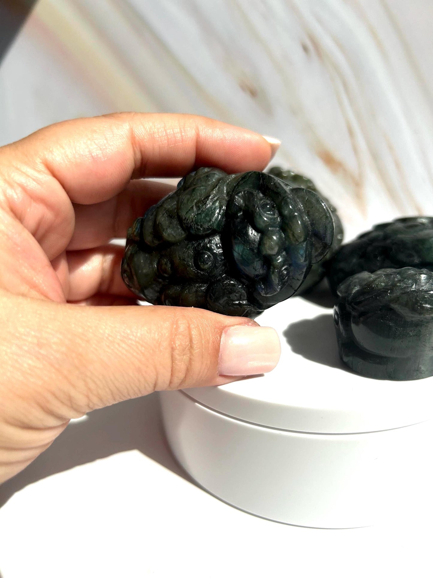 Money Toad Labradorite Crystal Carving Decorative Home Decor Feng Shui  Office Desk Bedroom Dorm Altar Best Friend Gift for New Beginning