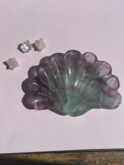 Fluorite Seashell Bowl Carved Dish Jewelry Holder Ocean Inspired Home Decor Gift for Beach Lover Bathroom Vanity Tray Coastal Mother Gift