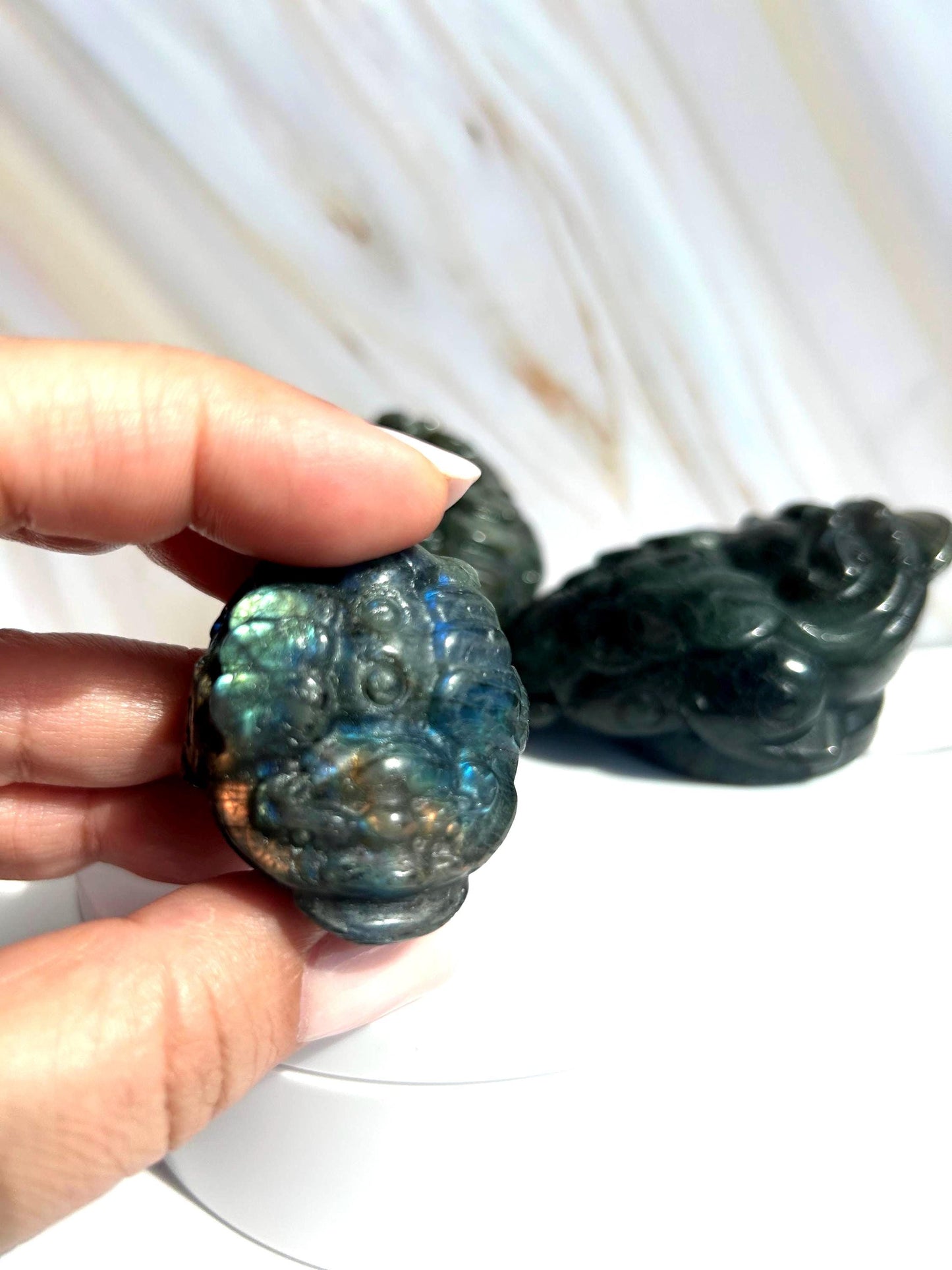 Money Toad Labradorite Crystal Carving Decorative Home Decor Feng Shui  Office Desk Bedroom Dorm Altar Best Friend Gift for New Beginning
