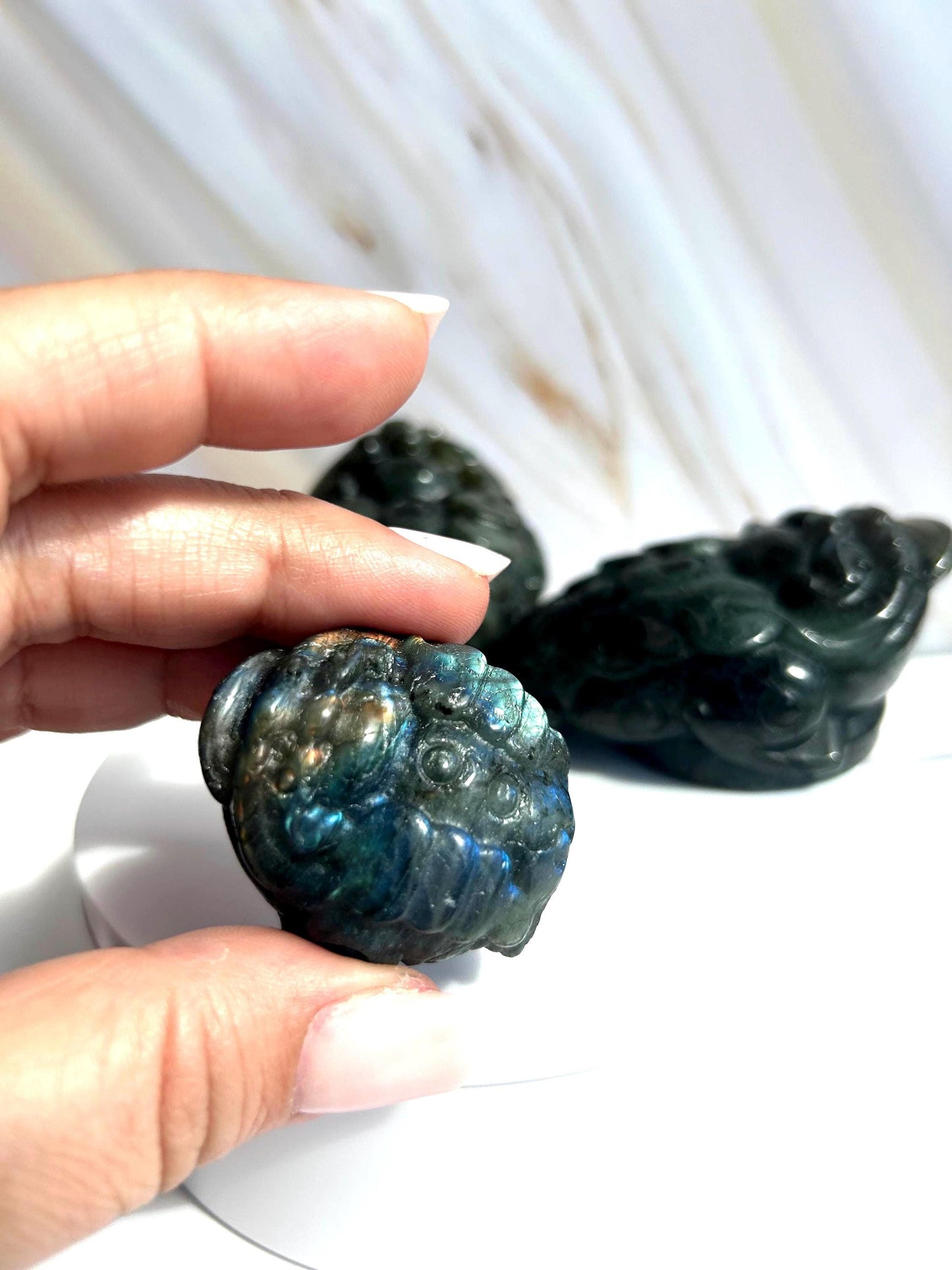 Money Toad Labradorite Crystal Carving Decorative Home Decor Feng Shui  Office Desk Bedroom Dorm Altar Best Friend Gift for New Beginning