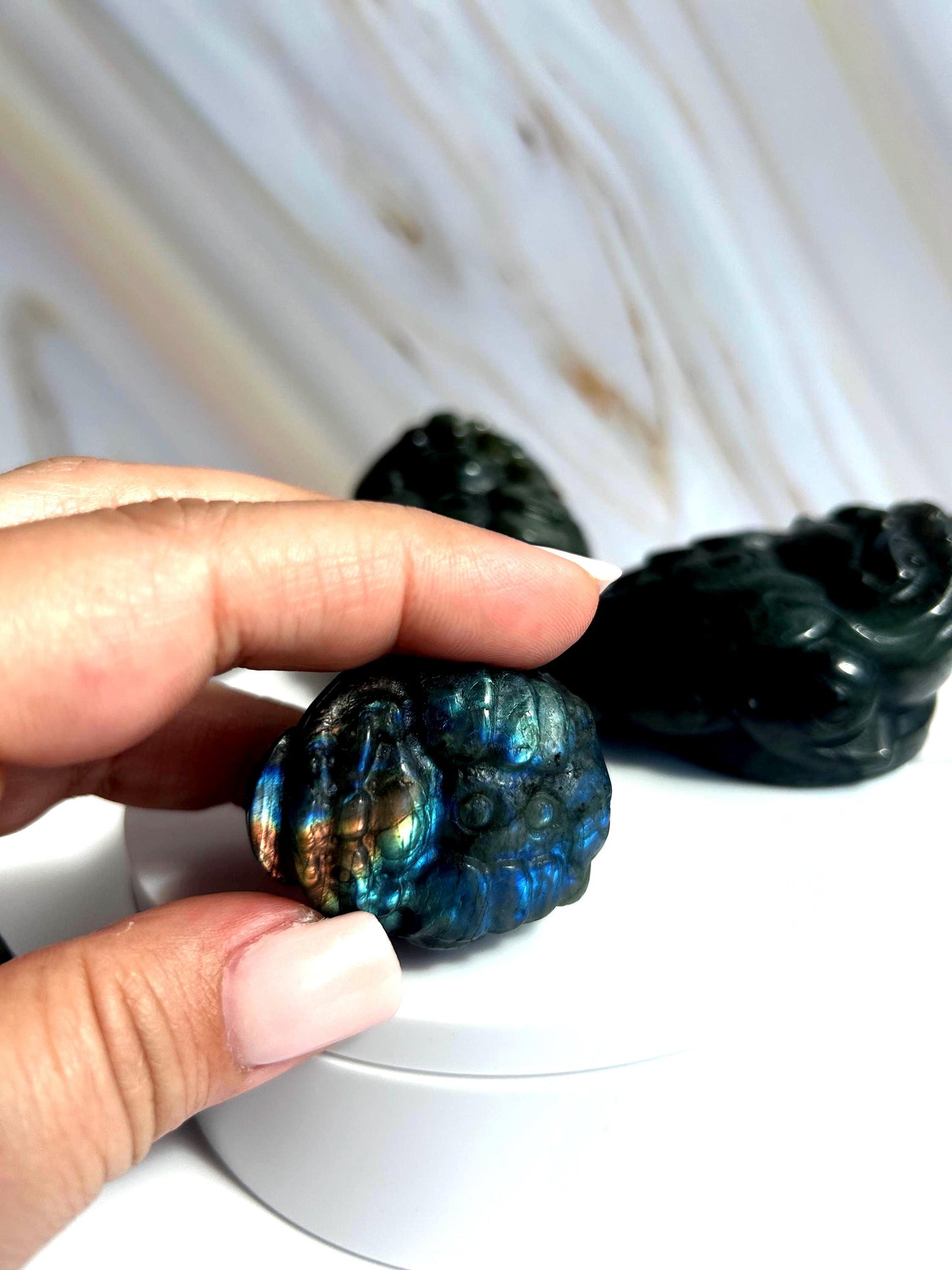 Money Toad Labradorite Crystal Carving Decorative Home Decor Feng Shui  Office Desk Bedroom Dorm Altar Best Friend Gift for New Beginning